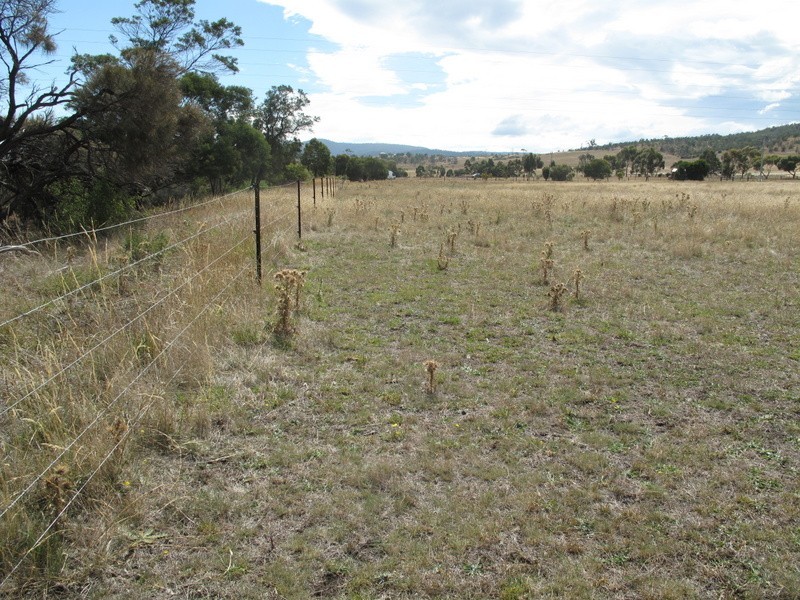 Lot 5 , 2637 Tasman Highway, Sorell TAS 7172
