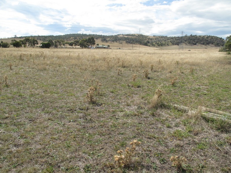 Lot 5 , 2637 Tasman Highway, Sorell TAS 7172