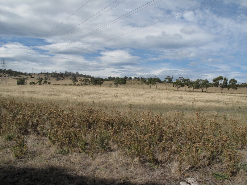 Lot 5 , 2637 Tasman Highway, Sorell TAS 7172