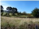 Lot 6 Marion Bay Road, Copping TAS 7174