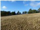 49 Craiglea Road, Campania TAS 7026