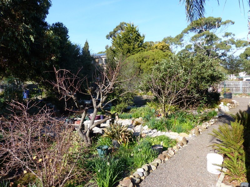 5 Nicholas Avenue, Dodges Ferry TAS 7173