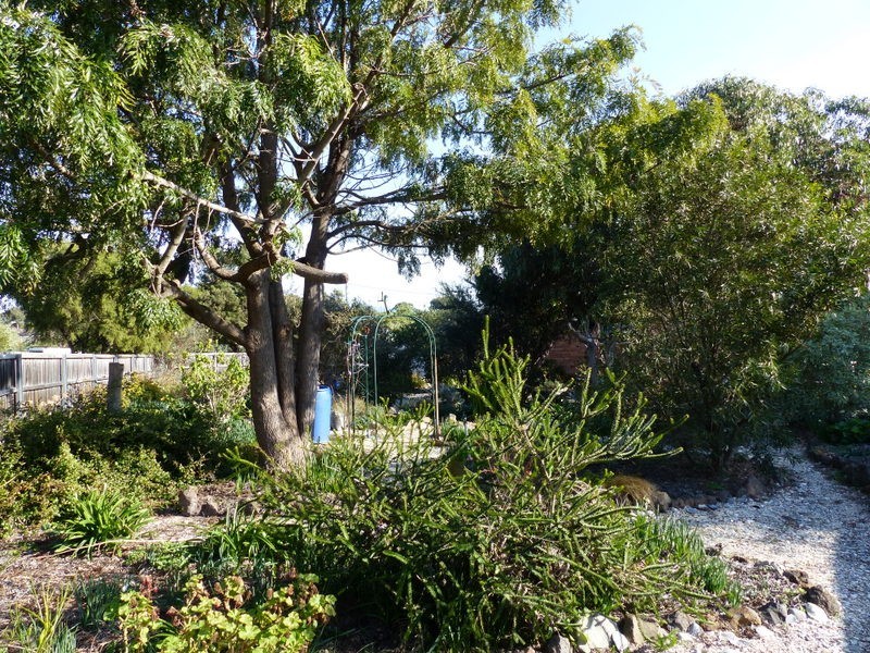 5 Nicholas Avenue, Dodges Ferry TAS 7173