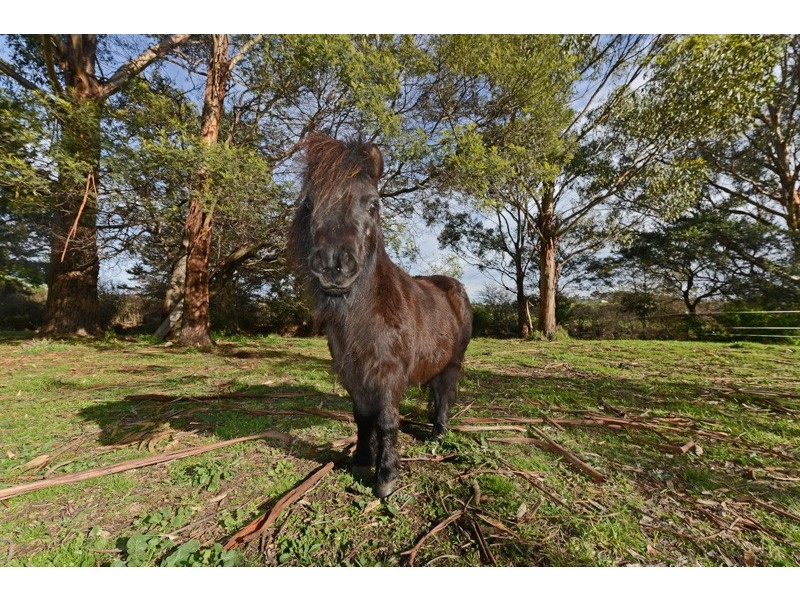 3075 Tasman Highway, Orielton TAS 7172