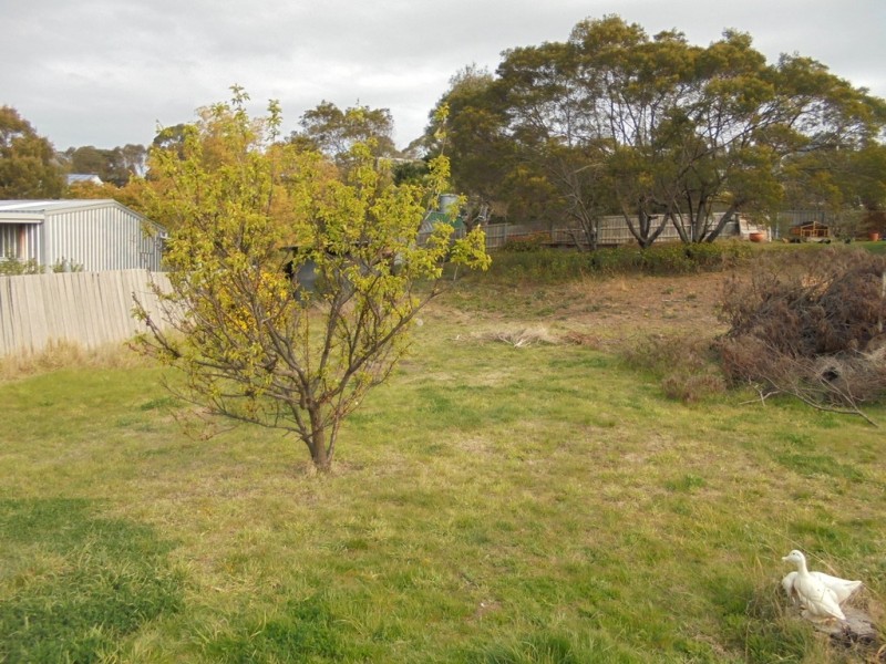 7 Bingham Street, Dodges Ferry TAS 7173