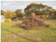 7 Bingham Street, Dodges Ferry TAS 7173