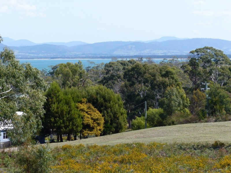 9 Okines Road, Dodges Ferry TAS 7173