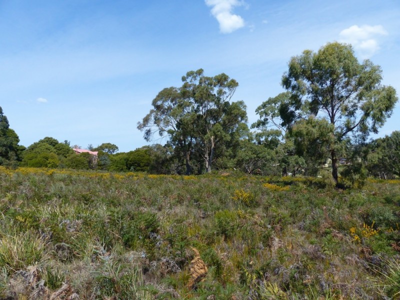 9 Okines Road, Dodges Ferry TAS 7173