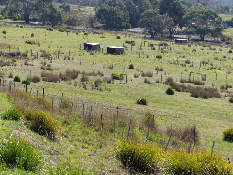 89 Native Corners Road, Campania TAS 7026