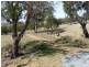 23 Jeannie Drive, Sorell TAS 7172