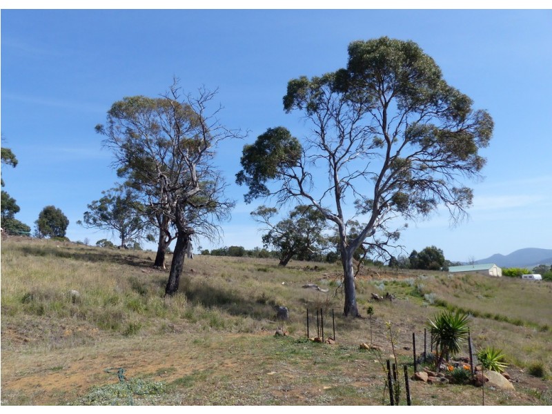 23 Jeannie Drive, Sorell TAS 7172