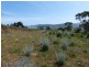 23 Jeannie Drive, Sorell TAS 7172
