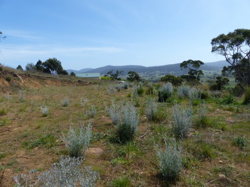23 Jeannie Drive, Sorell TAS 7172