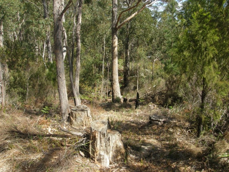 30 Smith Street, Nubeena TAS 7184