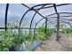 1416 Woodsdale Road, Levendale TAS 7120