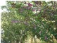 1416 Woodsdale Road, Levendale TAS 7120