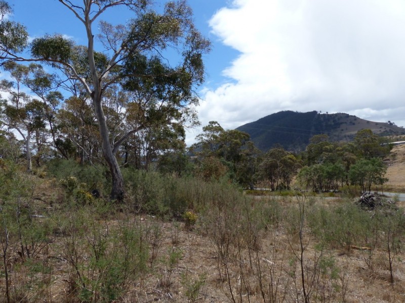 Lot 2, 85 Native Corners Road, Campania TAS 7026