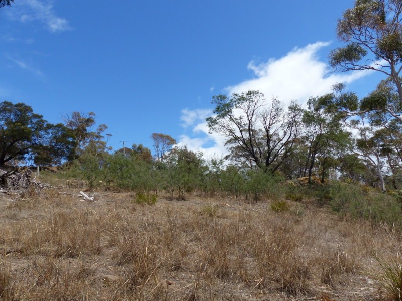 Lot 2, 85 Native Corners Road, Campania TAS 7026