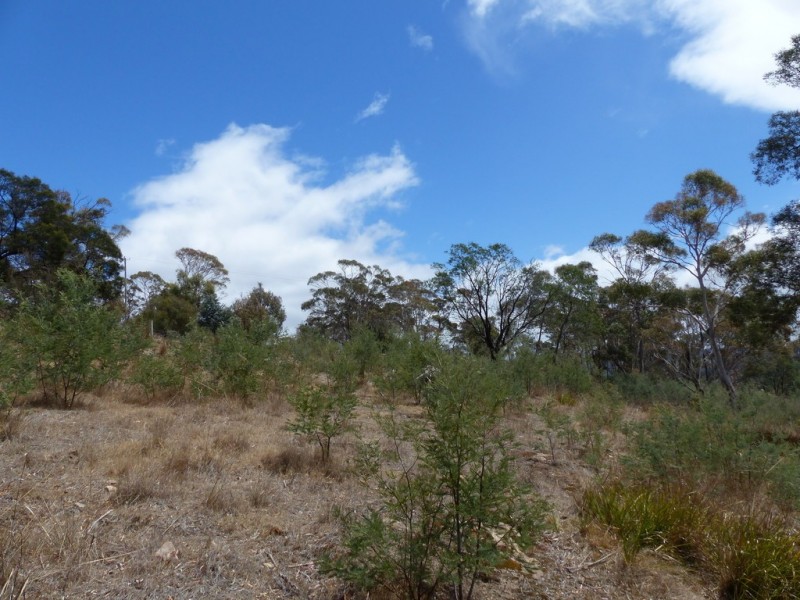 Lot 2, 85 Native Corners Road, Campania TAS 7026