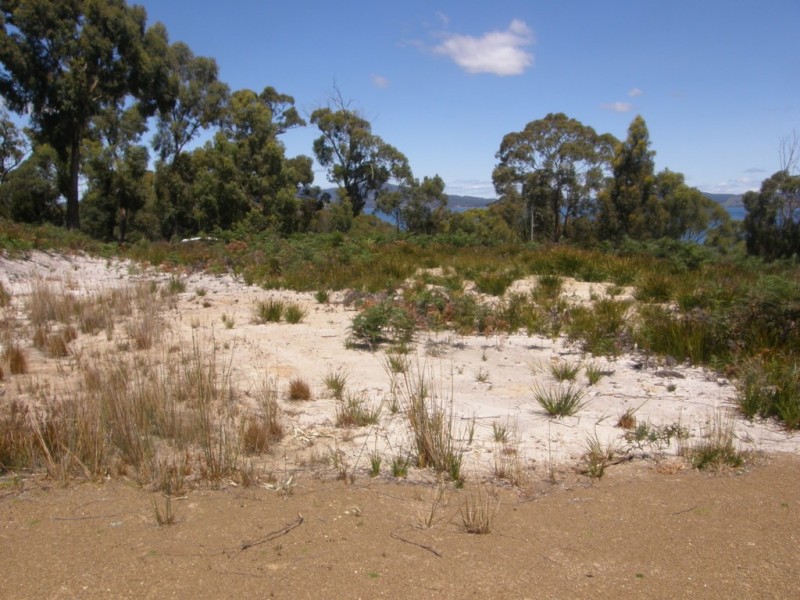 Lot 700 Paul Court, Murdunna TAS 7178