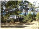 Lot 4 Prices Flats Road, Premaydena TAS 7185