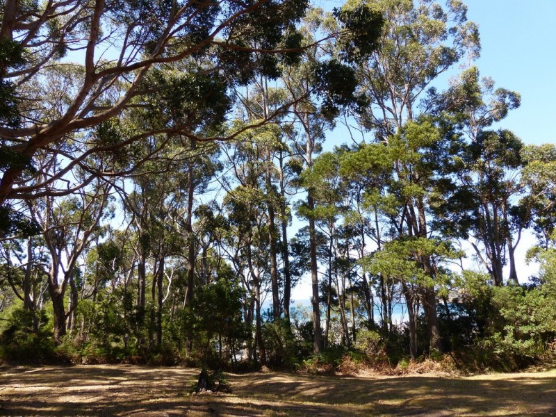 Lot 4 Prices Flats Road, Premaydena TAS 7185