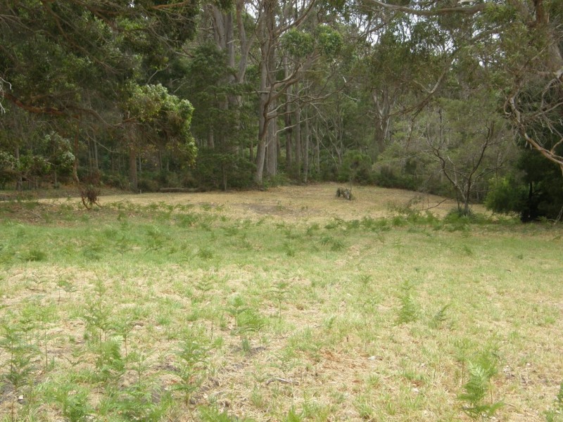 Lot 4 Prices Flats Road, Premaydena TAS 7185