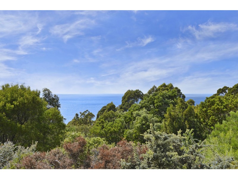 189 Pirates Bay Road, Eaglehawk Neck TAS 7179