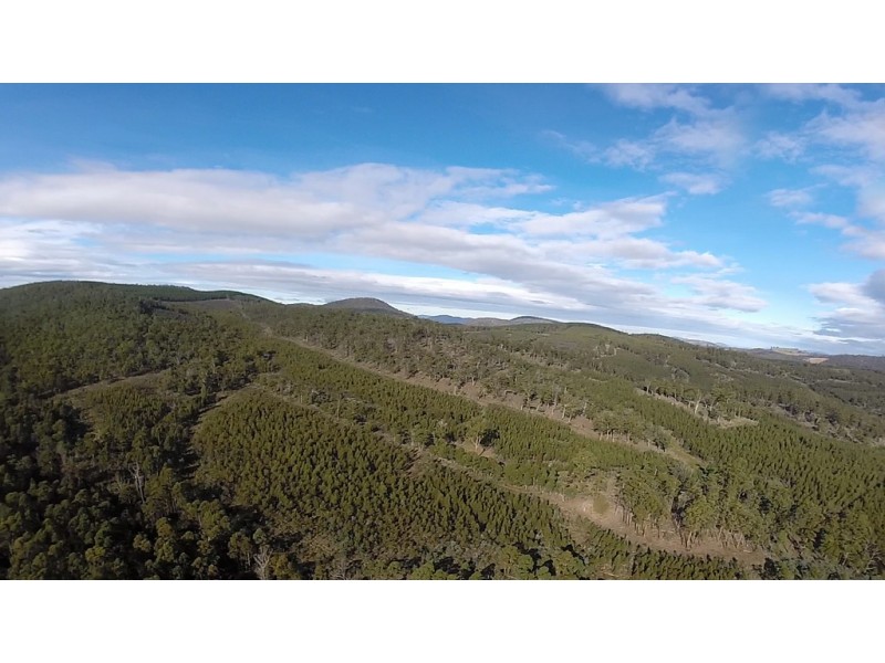 Lot 1/1500 Nugent Road, Nugent TAS 7172