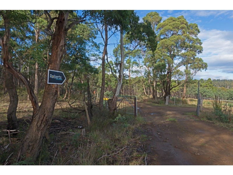 Lot 1/1500 Nugent Road, Nugent TAS 7172