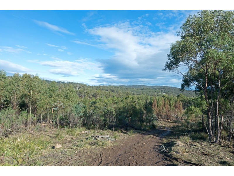 Lot 1/1500 Nugent Road, Nugent TAS 7172