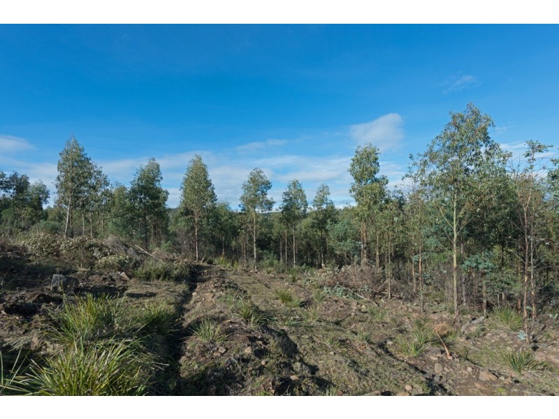Lot 1/1500 Nugent Road, Nugent TAS 7172