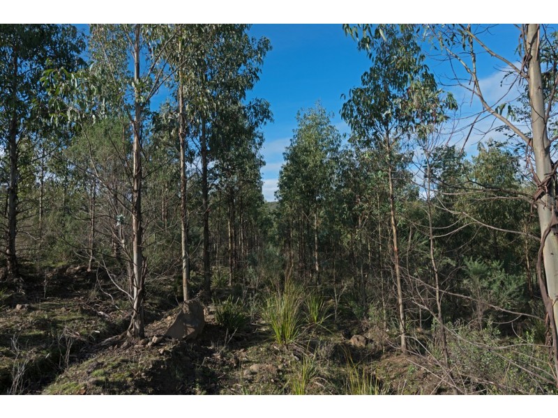 Lot 1/1500 Nugent Road, Nugent TAS 7172