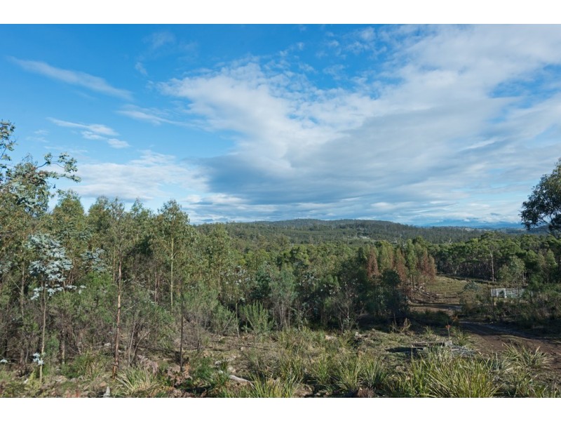 Lot 1/1500 Nugent Road, Nugent TAS 7172