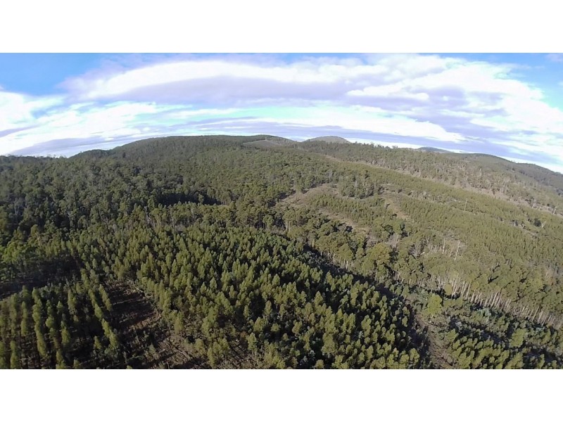 Lot 1/1500 Nugent Road, Nugent TAS 7172