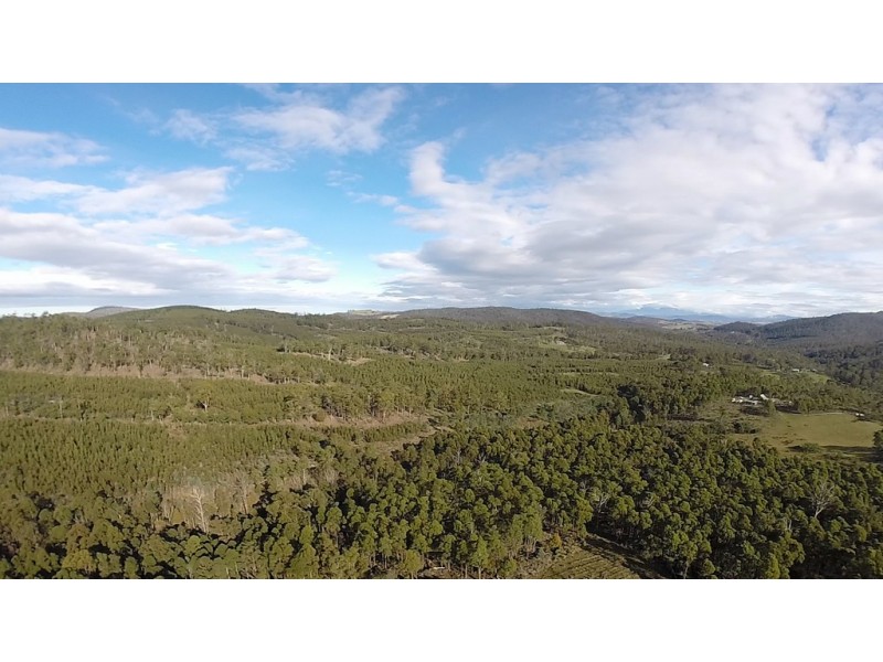 Lot 1/1500 Nugent Road, Nugent TAS 7172