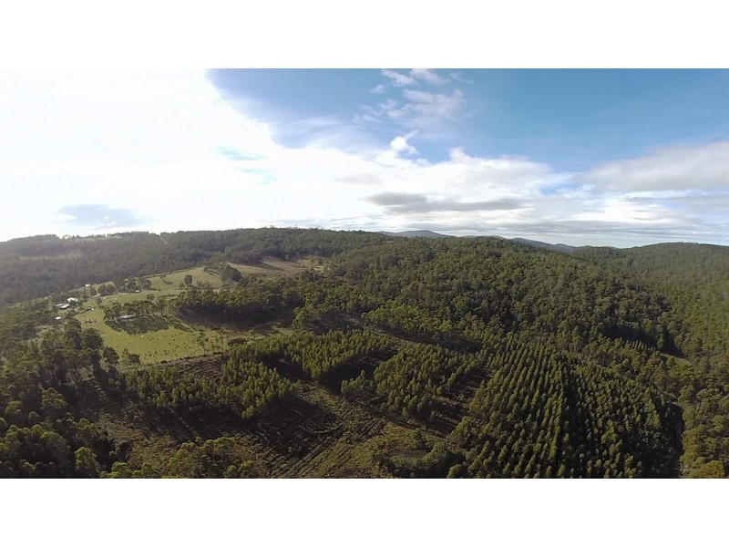 Lot 1/1500 Nugent Road, Nugent TAS 7172