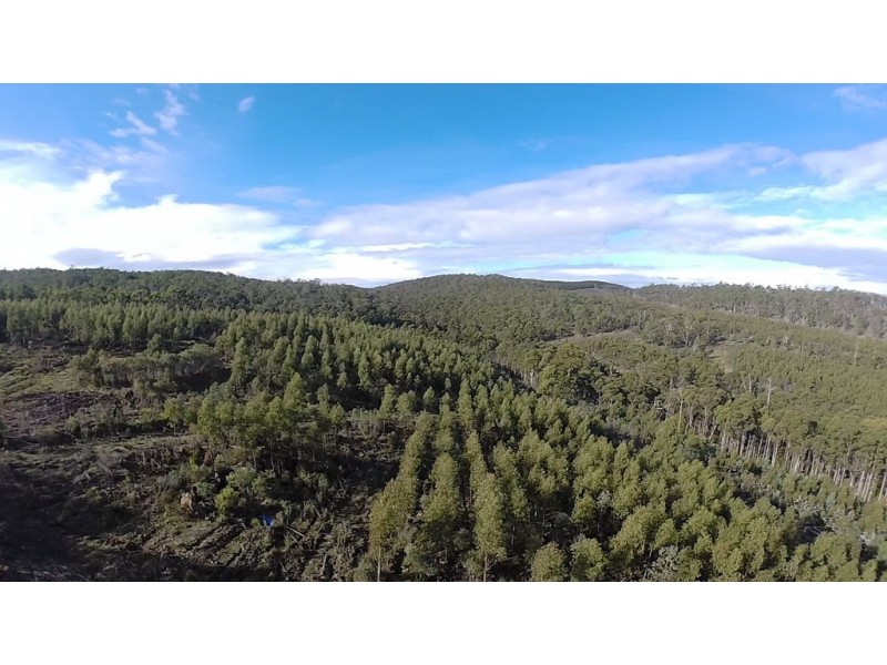 Lot 1/1500 Nugent Road, Nugent TAS 7172