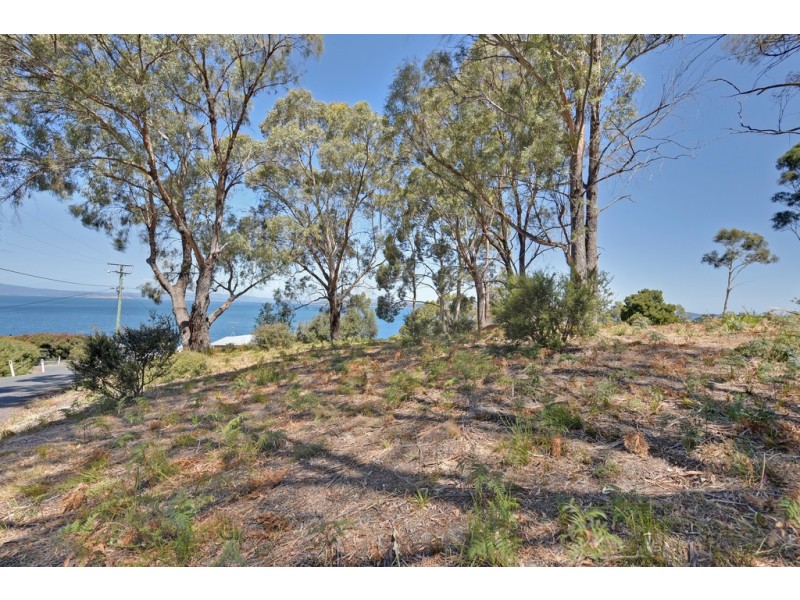 3 Susans Bay Road, Primrose Sands TAS 7173