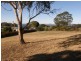 23 North Street, Dodges Ferry TAS 7173
