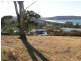 23 North Street, Dodges Ferry TAS 7173