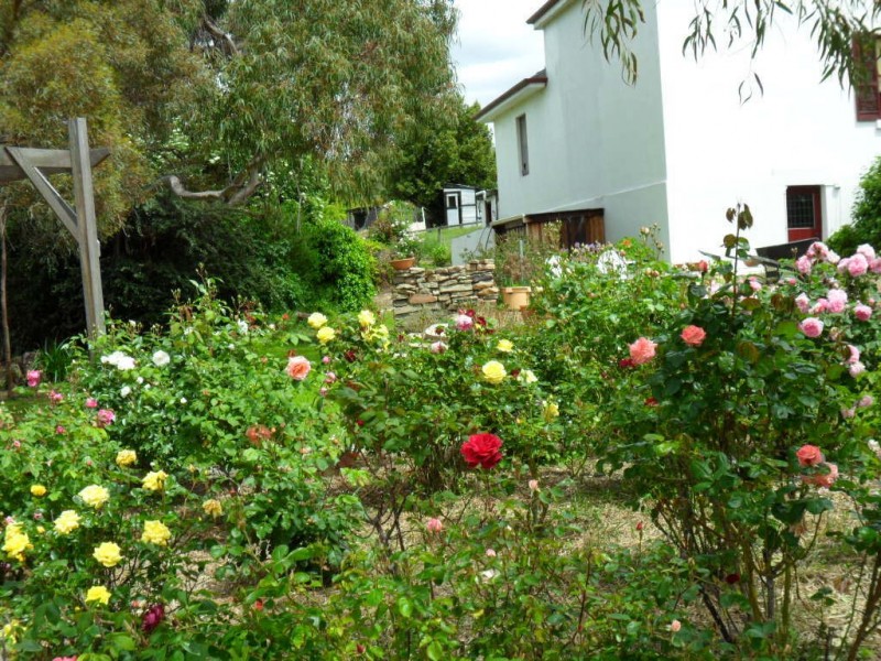 38 Maconochie Street, Colebrook TAS 7027