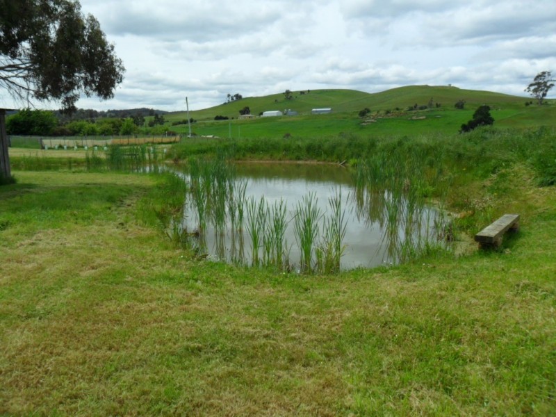 38 Maconochie Street, Colebrook TAS 7027