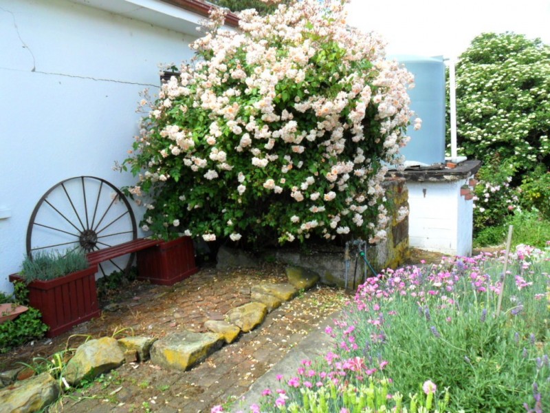 38 Maconochie Street, Colebrook TAS 7027