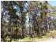 132 Nubeena Back Road, Nubeena TAS 7184