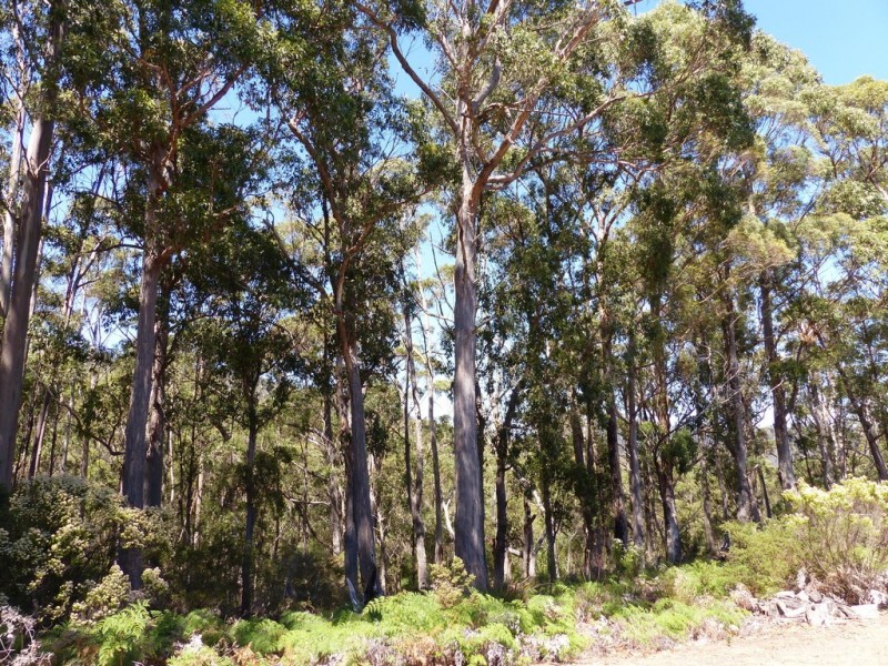 132 Nubeena Back Road, Nubeena TAS 7184