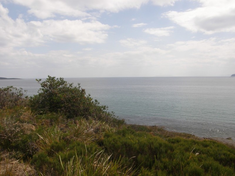 584 White Beach Road, White Beach TAS 7184