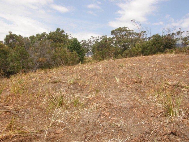 584 White Beach Road, White Beach TAS 7184