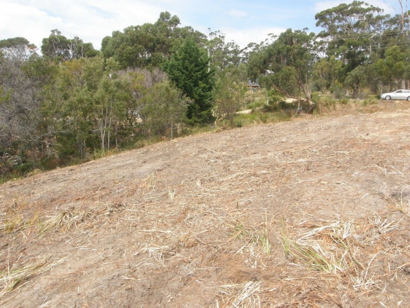 584 White Beach Road, White Beach TAS 7184