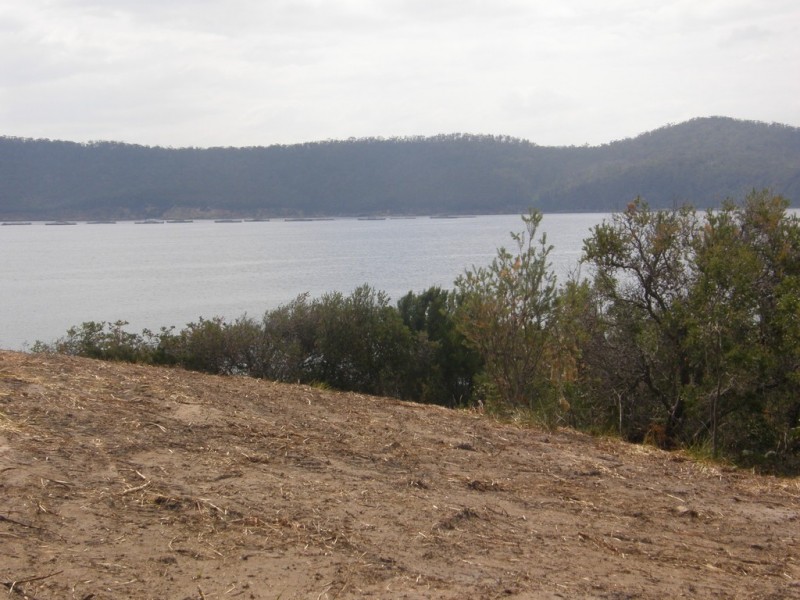 584 White Beach Road, White Beach TAS 7184